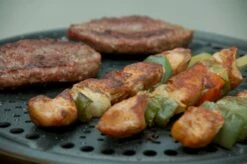 Cobb Premier+ Gas Gasbarbecue - Grijs -Camping Kortings Winkel 1263 1900 dsc 0474