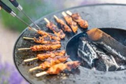 RedFire ONYX Classic Vuurschaal Bbq - 80 Cm -Camping Kortings Winkel 85208 lifestyle 06