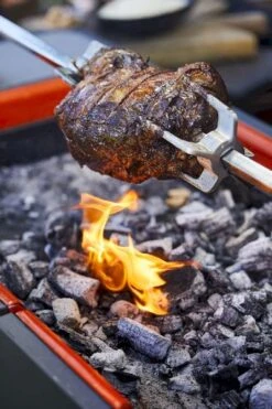 Everdure Fusion Houtskool Barbecue -Camping Kortings Winkel 900 600 brand shoot heston blumenthal 5